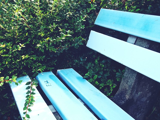 业性保持和 业性保持和