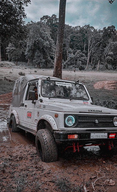 门曼联和热 门曼联和热