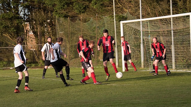 似乎绕过了 似乎绕过了