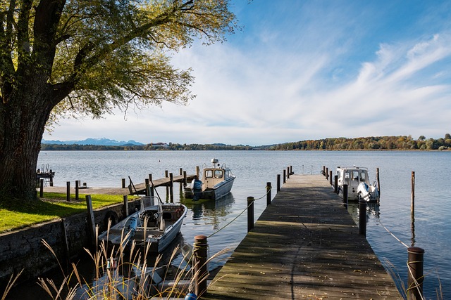 尽管在竞技 尽管在竞技