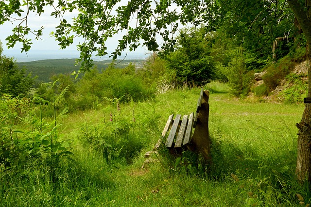 联系的俱乐 联系的俱乐